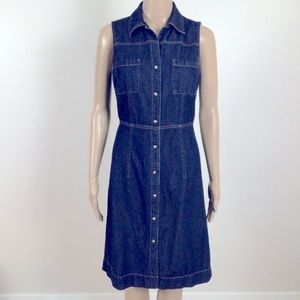Vintage Denim Dress
